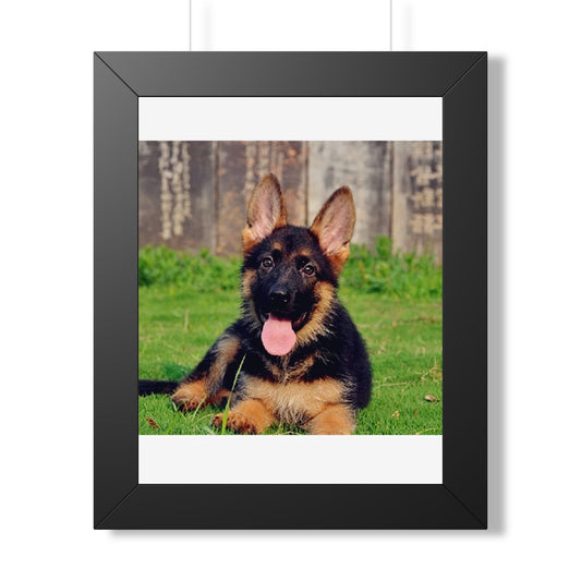 German Shepherd Puppy Framed Poster — Cute Dog Wall Art
