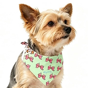 Cute Pink Bow Puppy Bandana - Clip-On Mint Green Dog Scarf
